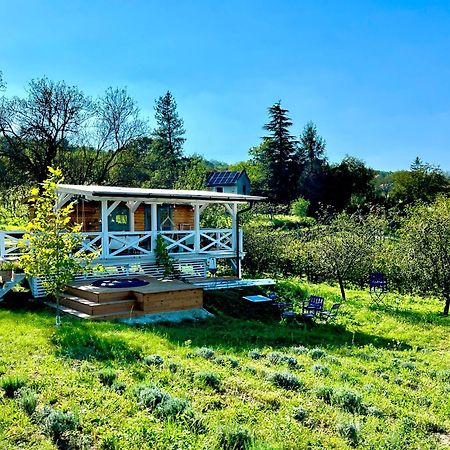 Bohemian Eco Lodge At Lake Balaton Kisapati Dış mekan fotoğraf