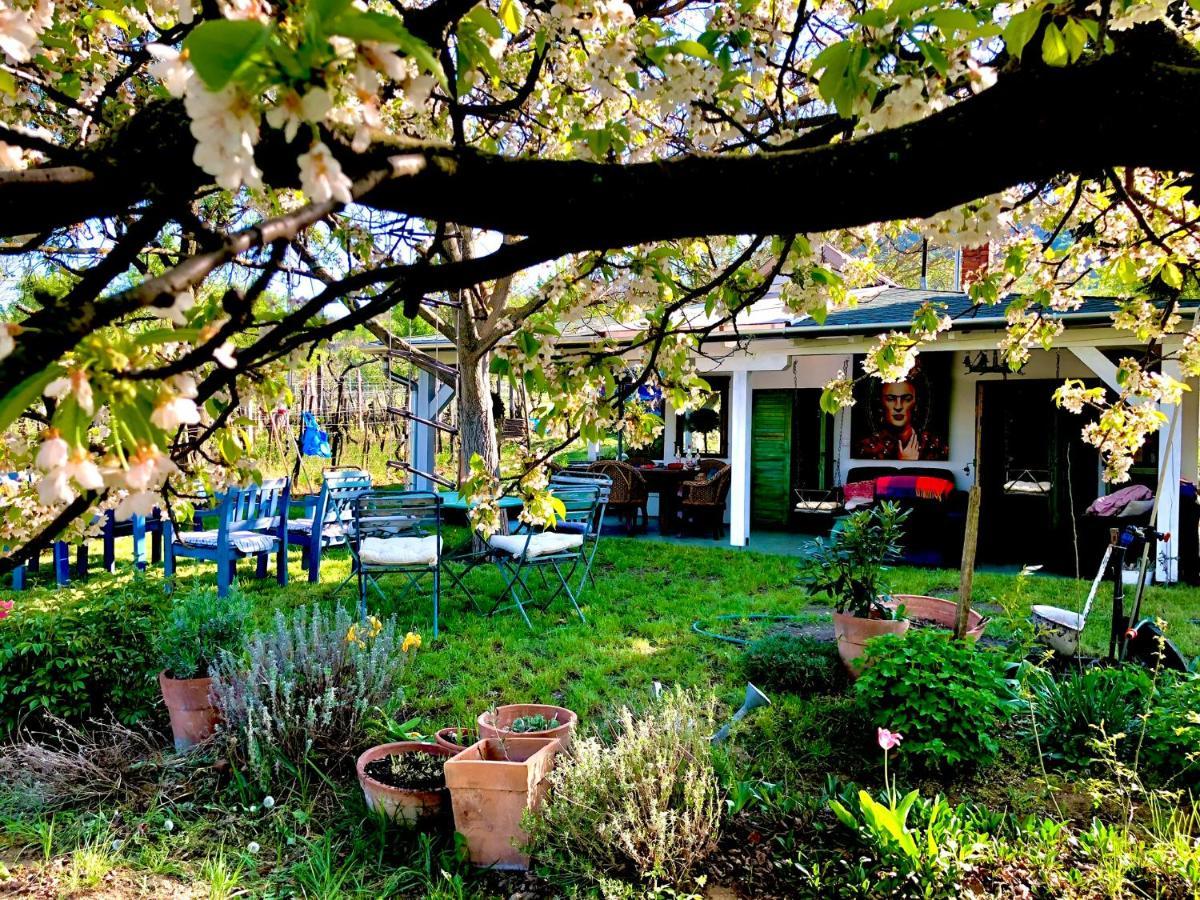 Bohemian Eco Lodge At Lake Balaton Kisapati Dış mekan fotoğraf