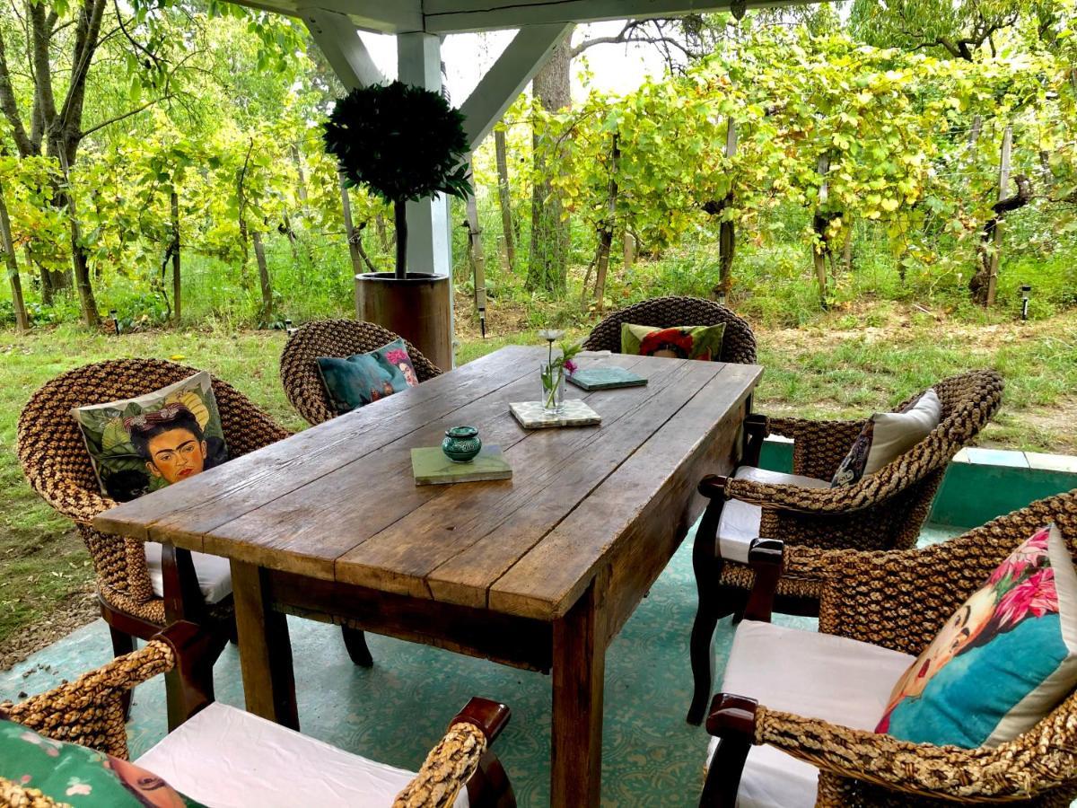 Bohemian Eco Lodge At Lake Balaton Kisapati Dış mekan fotoğraf