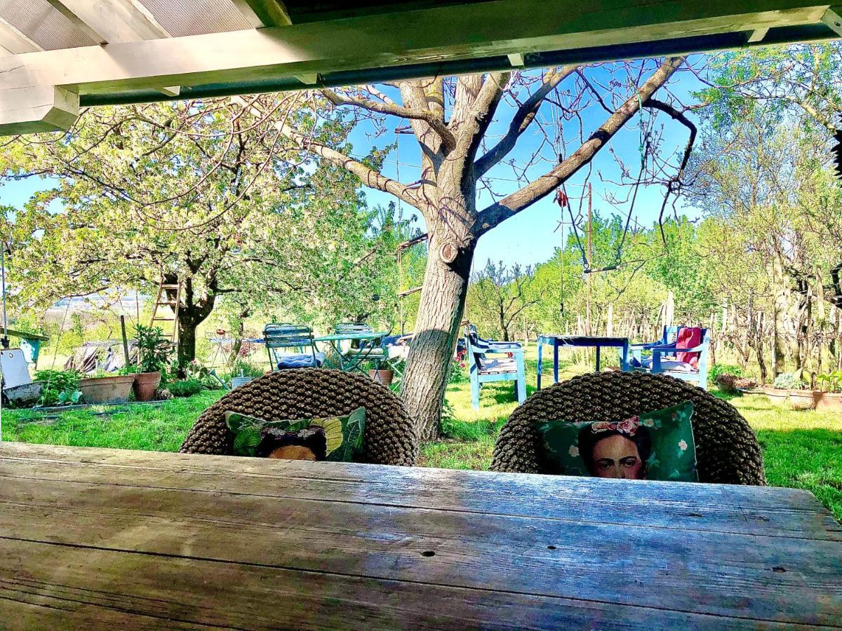 Bohemian Eco Lodge At Lake Balaton Kisapati Dış mekan fotoğraf