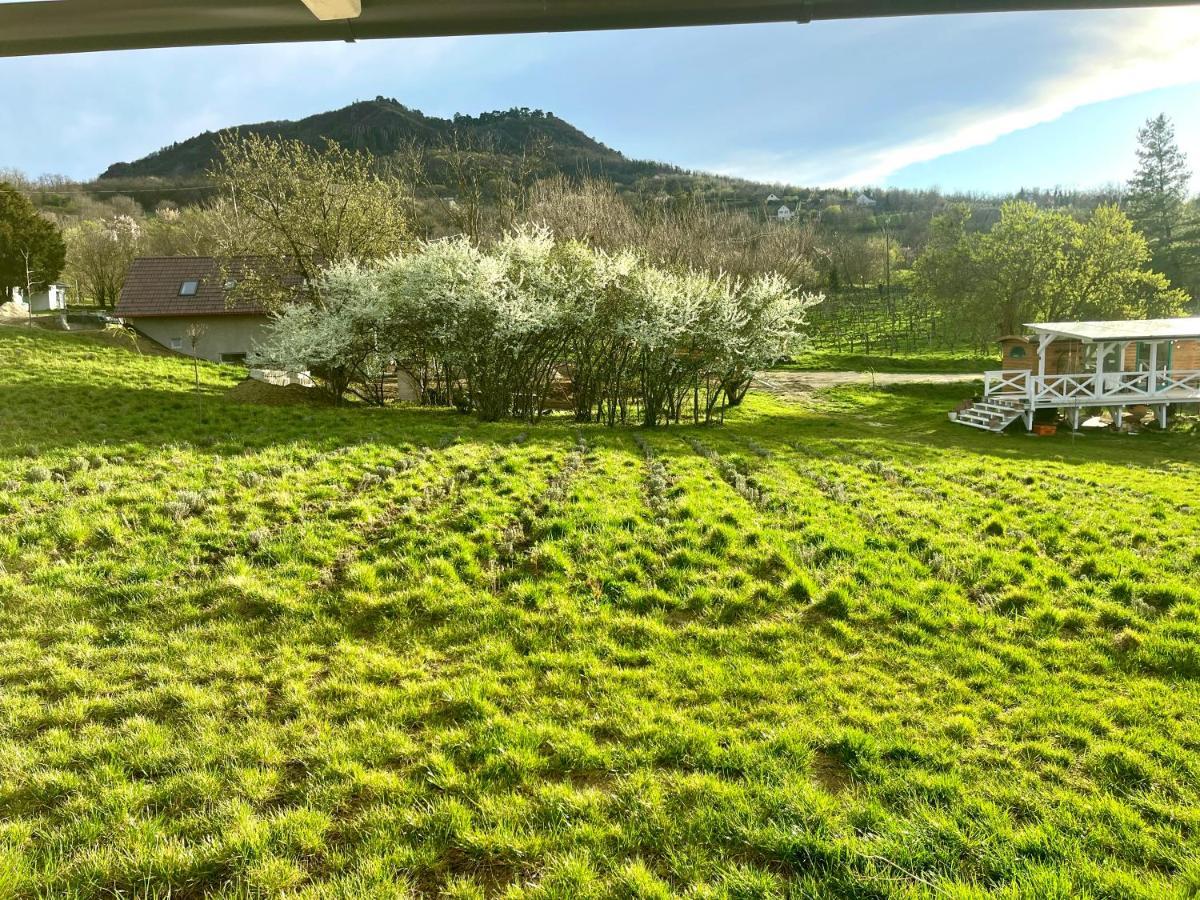 Bohemian Eco Lodge At Lake Balaton Kisapati Dış mekan fotoğraf
