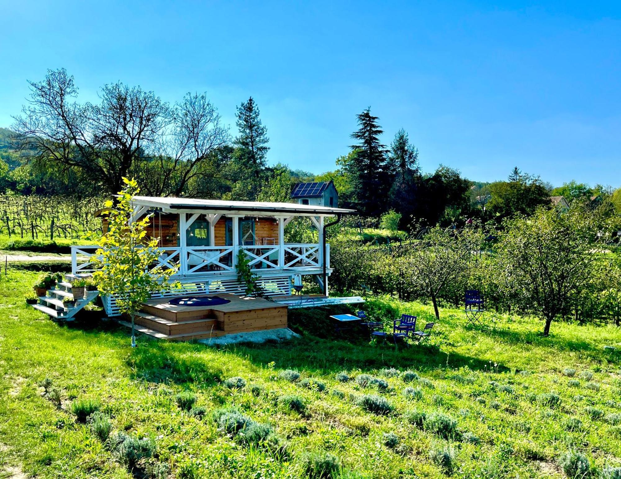 Bohemian Eco Lodge At Lake Balaton Kisapati Dış mekan fotoğraf